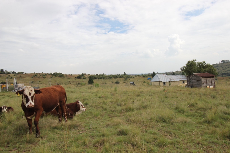 3 Bedroom Property for Sale in Lake Deneysville Free State